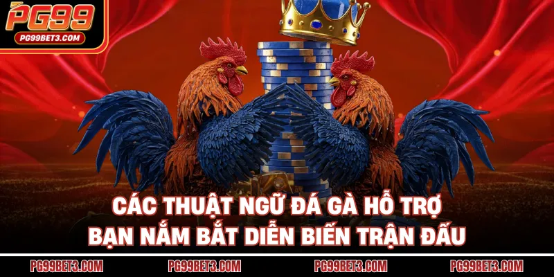 Các thuật ngữ đá gà hỗ trợ bạn nắm bắt diễn biến trận đấu